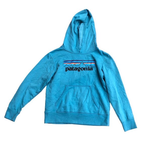 2019 Patagonia Hoodie Big Logo Large Blue - Picture 1 of 8